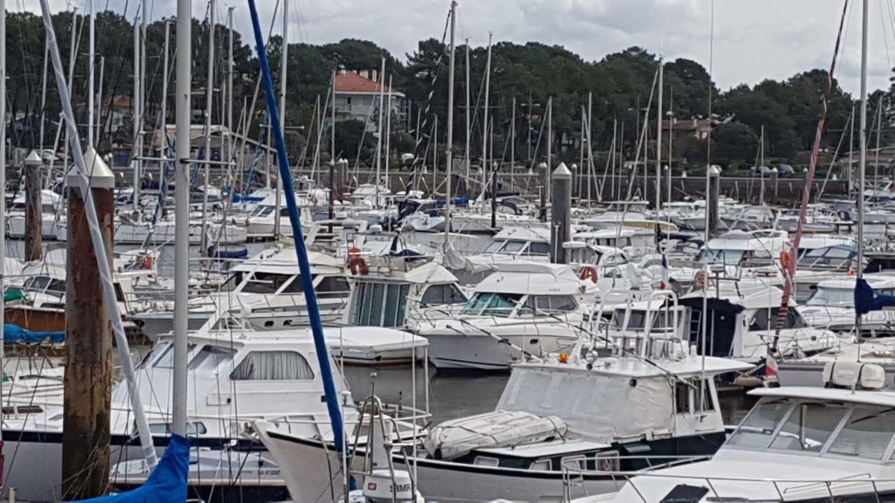 卡布勒通Les Terrasses De Notre Dame公寓 外观 照片
